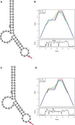 Impact of microRNA polymorphisms on high-dose methotrexate-related hematological toxicities in pediatric acute lymphoblastic leukemia